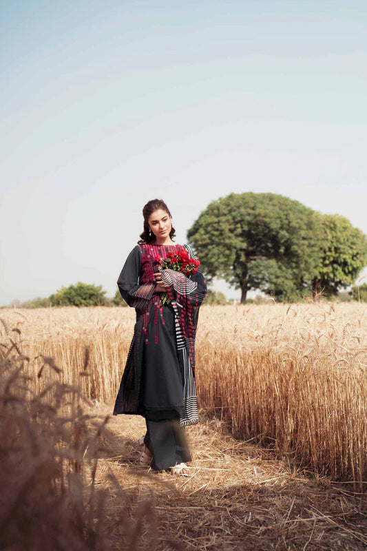 3 Piece Dyed Printed Embroidered Suit